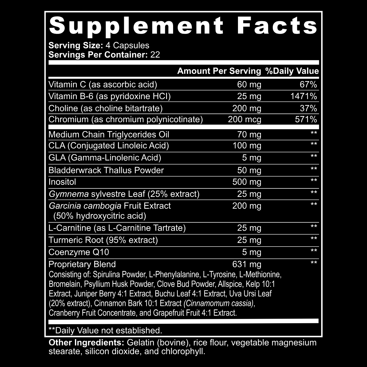 SUPERIOR FAT BURNER WITH MCT — IGNITE CLEAN ENERGY & TORCH STUBBORN FAT